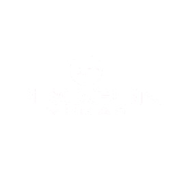 Pro Gun Vegas