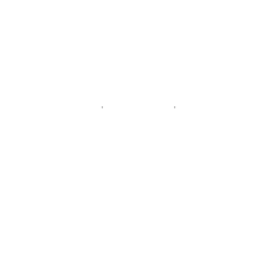 Stags Arms Meritorious Veterans, Guns & Cigars
