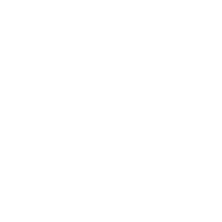 Patriot Mobile